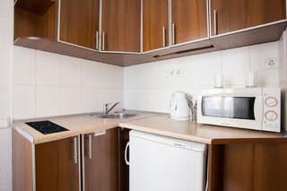 Апартаменты Excellent studio apartment in the Center - Kravtsova lane 13B-2 Харьков Апартаменты с 1 спальней-25